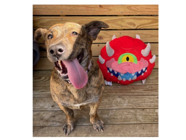 Happy dog smiling with tongue out next to red plush cacodemon inspired by DOOM franchise