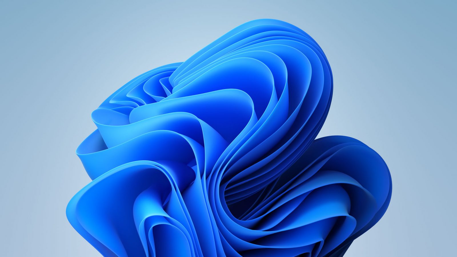 Windows 11 bloom desktop image.