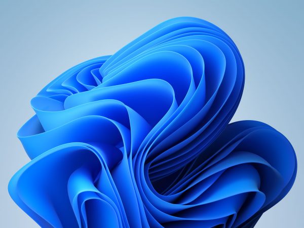 Windows 11 bloom desktop image.