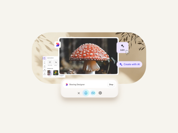 Copilot Vision screenshot
