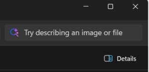File Explore Search Box with a magnifying glass search icon with the words “Try describing an image or file”.